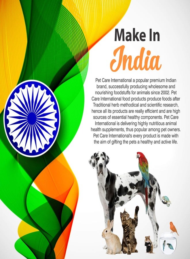 رعاية الحيوانات الأليفة الدولية بيت كير إنترناشونال، دواء لعلاج البقع البيضاء في أحواض السمك || مكافحة البقع البيضاء من أجل صحة أسماكك || عبوة من قطعتين || 30 مل - Image 5